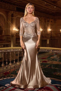 La Divine CD731 - Formal Lace Sleeve Dress