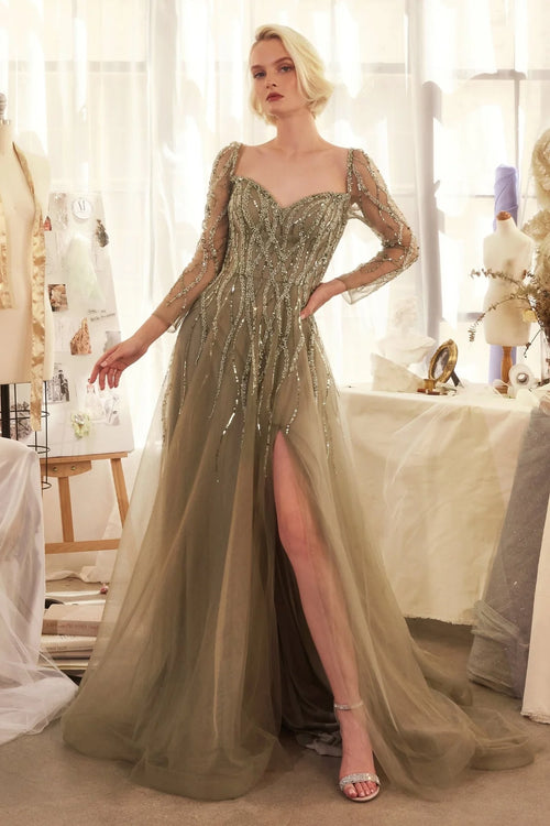 Andrea and Leo A1367 A-Line Long Sleeve Tulle Dress